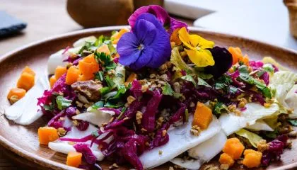 fleurs comestibles