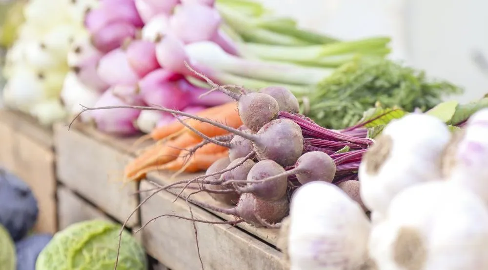 Cuisine maison, légumes frais et locaux, travail déclaré : trois piliers concrets d’un modèle économique de restauration engagée.