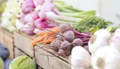 Cuisine maison, légumes frais et locaux, travail déclaré : trois piliers concrets d’un modèle économique de restauration engagée.