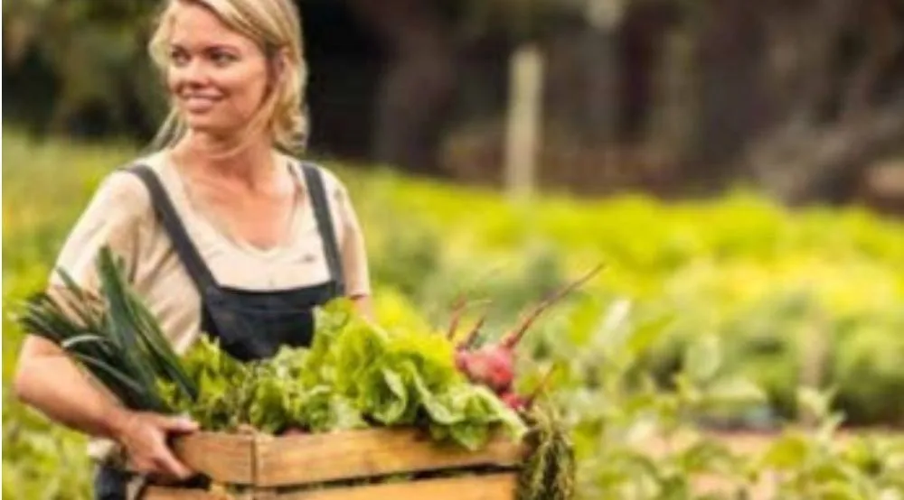 Rebondir cite le Moulin dans son article dédié à l'alimentation durable