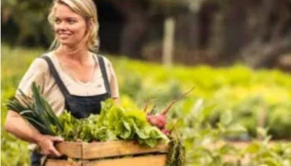 Rebondir cite le Moulin dans son article dédié à l'alimentation durable