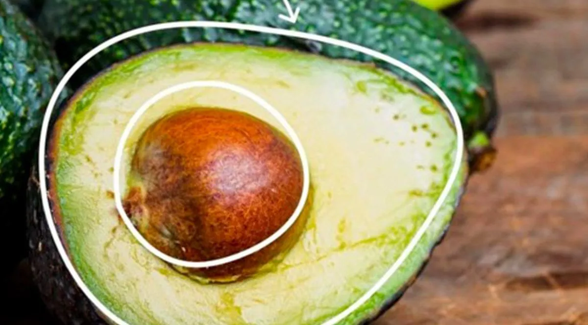Comment bien choisir son avocat ? On vous dit tout !