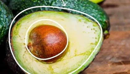 Comment bien choisir son avocat ? On vous dit tout !