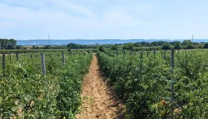 Toujours plus de fraîcheur, de qualité et de durabilité dans votre pause déjeuner !