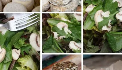 Comme les fruits et légumes, les fromages ont aussi une saison !