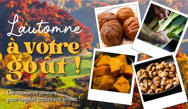 L'AUTOMNE A VOTRE GOUT ! S45